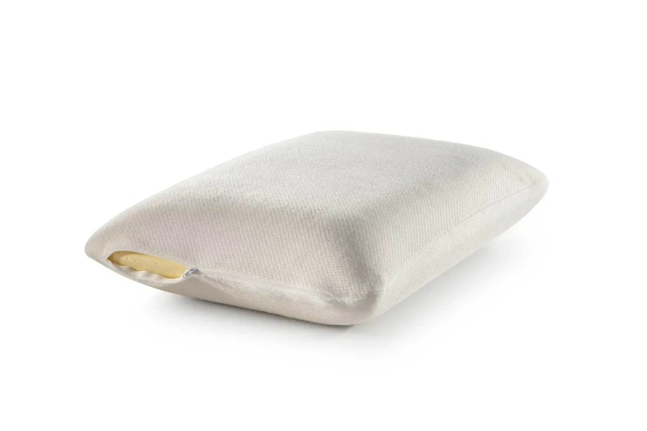 Bambi Viscobalance Kissen 39×59 cm - PointHome GmbH